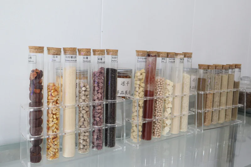 Checking dry dog kibble samples before bulk production