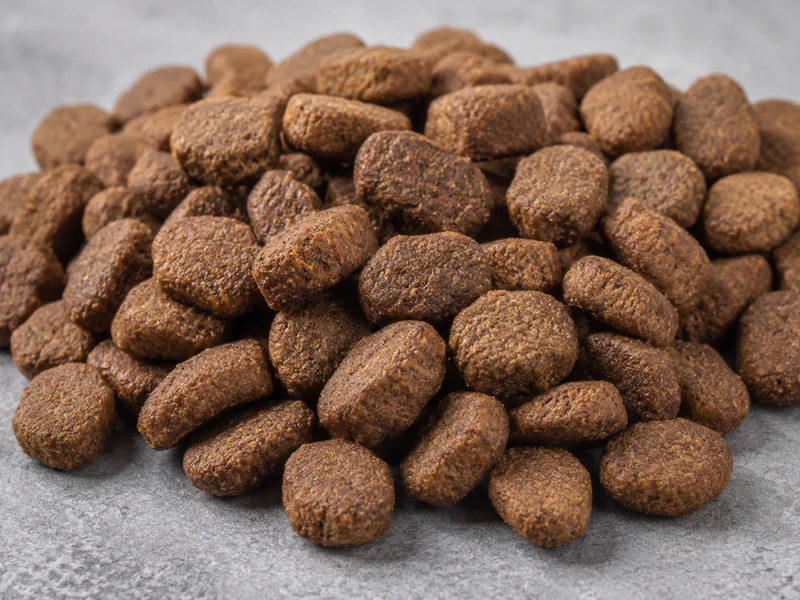 Adult dog dry food for daily feeding