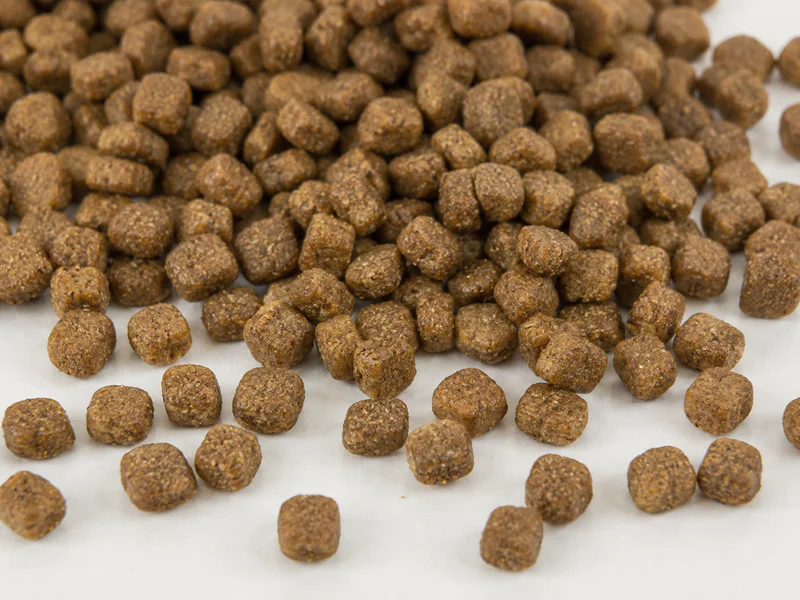 Small kibble puppy dry dog food