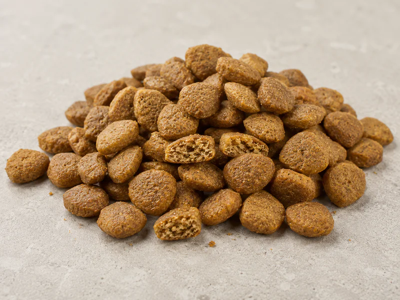 Senior dog dry food for aging dogs