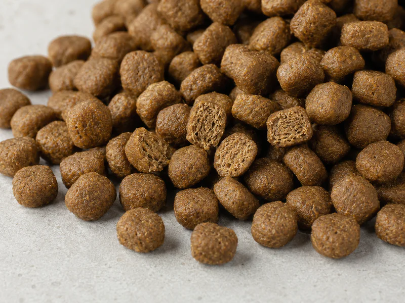 Small breed dry dog food with smaller kibble