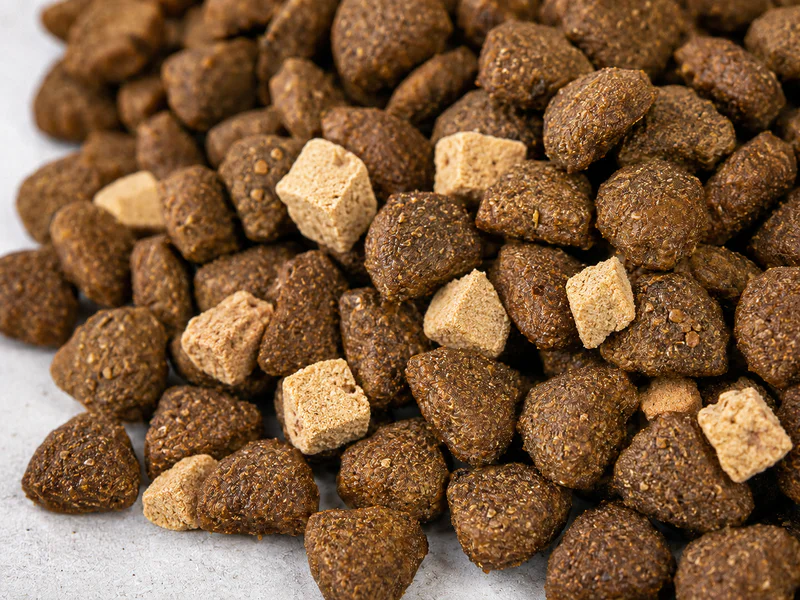 Functional-style dry dog food with clear shelf positioning