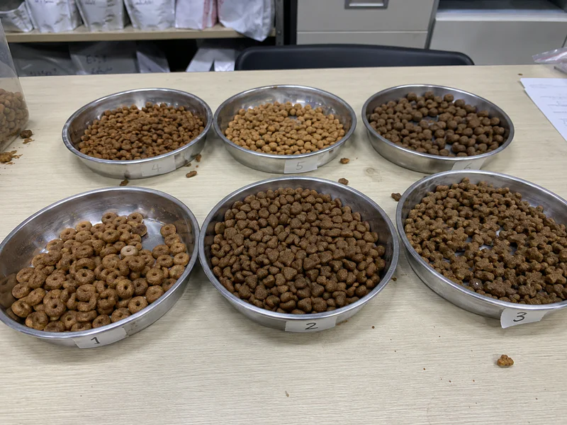 Close-up of dry kibble shapes and texture