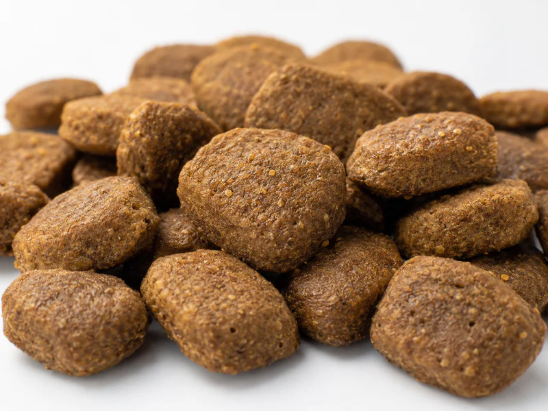 Large breed dry dog food with larger kibble and bulk bags