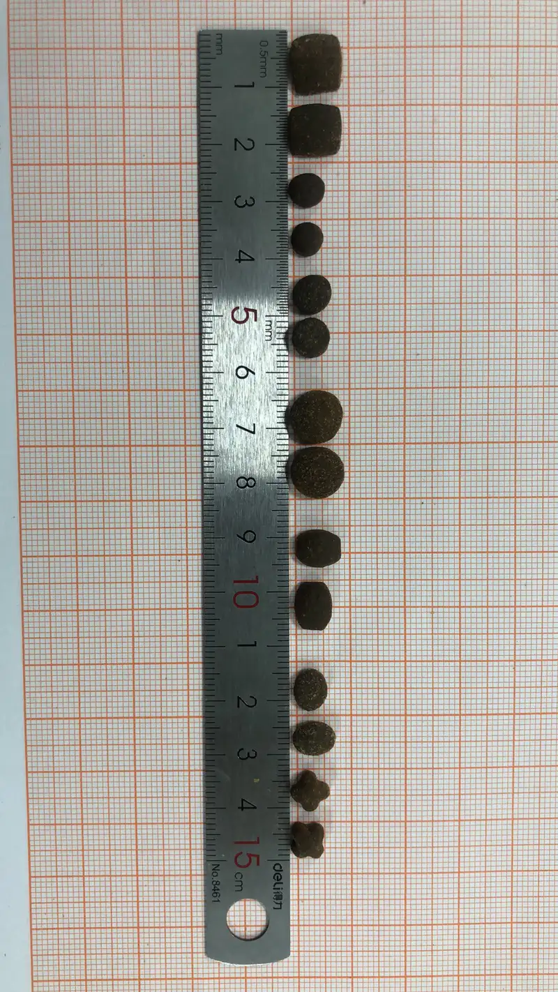 Custom dry dog kibble shape options