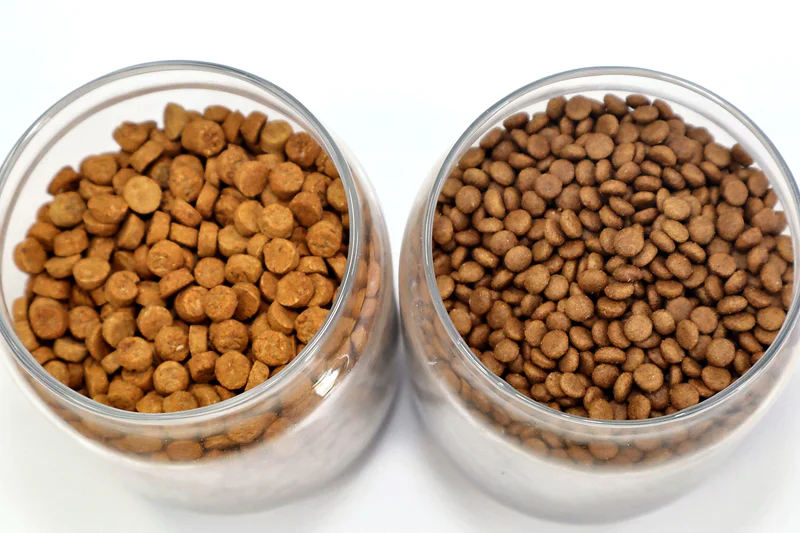 Dry dog kibble texture and coating detail