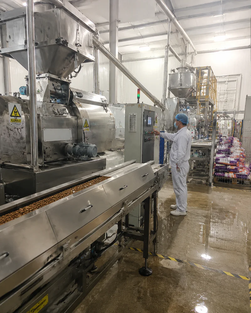 Dry pet food production line video